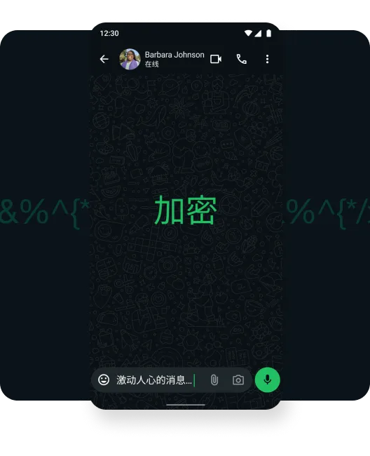 WhatsApp网页版手机同步失败解决办法 detail